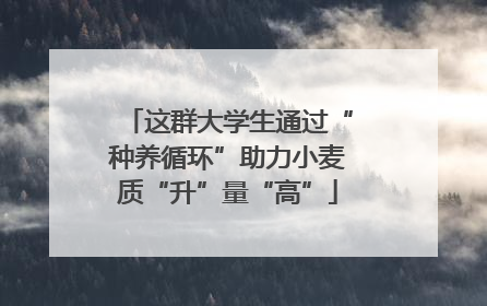 这群大学生通过“种养循环”助力小麦质“升”量“高”