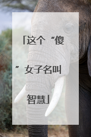 这个“傻”女子名叫智慧