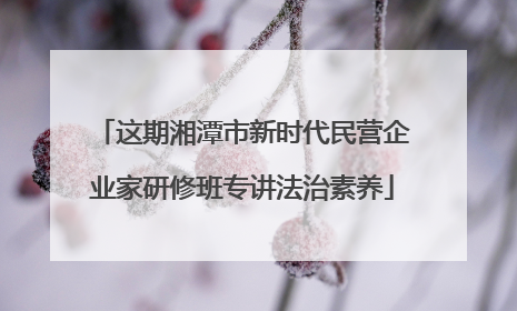 这期湘潭市新时代民营企业家研修班专讲法治素养
