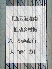 连云港灌南：推动乡村振兴，小蘑菇有大“蘑”力