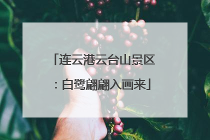 连云港云台山景区：白鹭翩翩入画来