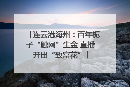 连云港海州：百年栀子“触网”生金 直播开出“致富花”