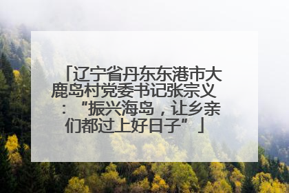 辽宁省丹东东港市大鹿岛村党委书记张宗义：“振兴海岛，让乡亲们都过上好日子”