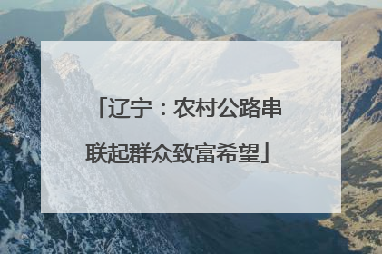 辽宁：农村公路串联起群众致富希望