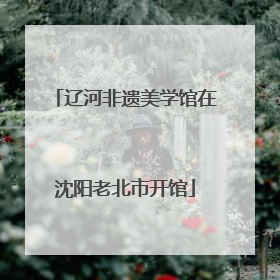 辽河非遗美学馆在沈阳老北市开馆