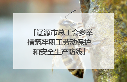 辽源市总工会多举措筑牢职工劳动保护和安全生产防线