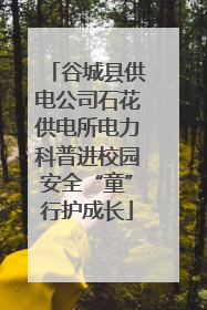 谷城县供电公司石花供电所电力科普进校园安全“童”行护成长