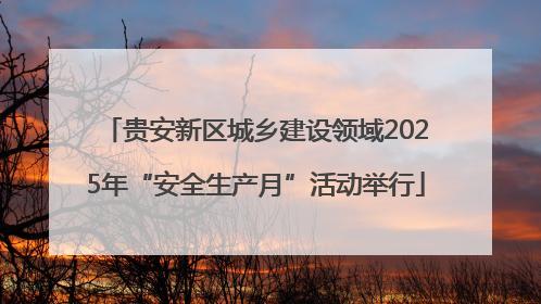 贵安新区城乡建设领域2025年“安全生产月”活动举行