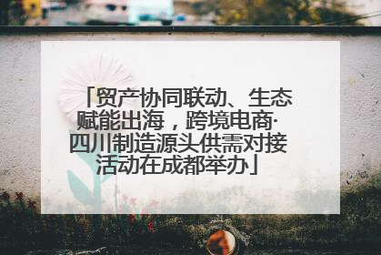 贸产协同联动、生态赋能出海，跨境电商·四川制造源头供需对接活动在成都举办