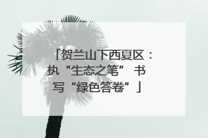 贺兰山下西夏区：执“生态之笔” 书写“绿色答卷”