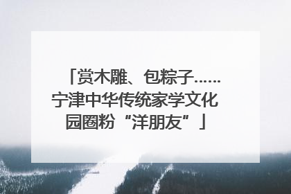 赏木雕、包粽子……宁津中华传统家学文化园圈粉“洋朋友”