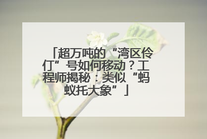 超万吨的“湾区伶仃”号如何移动？工程师揭秘：类似“蚂蚁托大象”