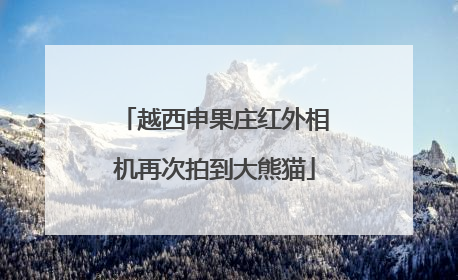 越西申果庄红外相机再次拍到大熊猫