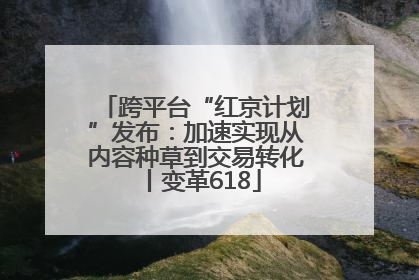 跨平台“红京计划”发布：加速实现从内容种草到交易转化丨变革618