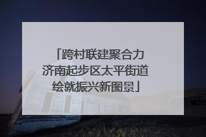 跨村联建聚合力 济南起步区太平街道绘就振兴新图景