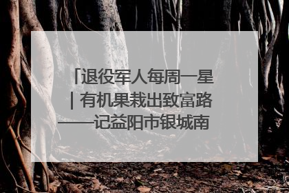 退役军人每周一星｜有机果栽出致富路——记益阳市银城南湖蔬果农民专业合作社总经理晏桂明