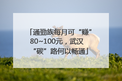 通勤族每月可“赚”80~100元，武汉“碳”路何以畅通