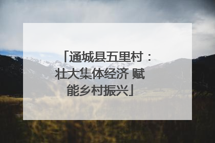 通城县五里村：壮大集体经济 赋能乡村振兴