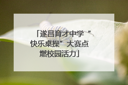 遂昌育才中学“快乐桌操”大赛点燃校园活力