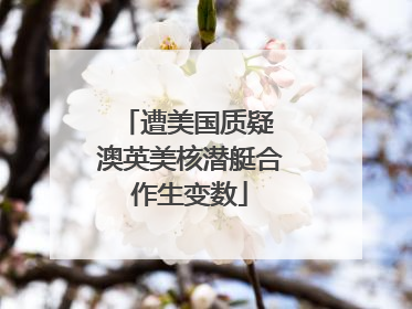 遭美国质疑 澳英美核潜艇合作生变数
