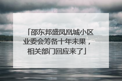 邵东邦盛凤凰城小区业委会筹备十年未果，相关部门回应来了