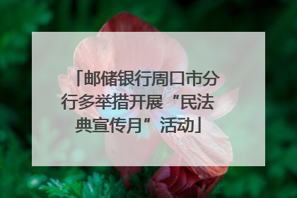 邮储银行周口市分行多举措开展“民法典宣传月”活动