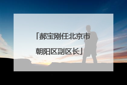 郝宝刚任北京市朝阳区副区长