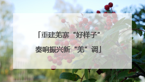 重建羌寨“好样子” 奏响振兴新“羌”调