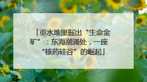 重水堆里掘出“生命金矿”：东海潮涌处，一座“核药硅谷”的崛起