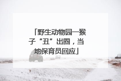 野生动物园一猴子“丑”出圈，当地保育员回应