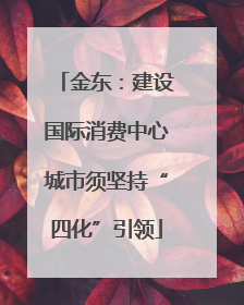 金东：建设国际消费中心城市须坚持“四化”引领