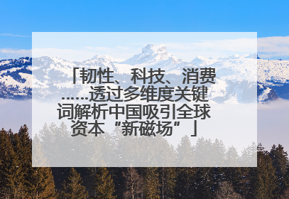 韧性、科技、消费……透过多维度关键词解析中国吸引全球资本“新磁场”