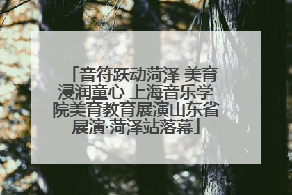 音符跃动菏泽 美育浸润童心 上海音乐学院美育教育展演山东省展演·菏泽站落幕