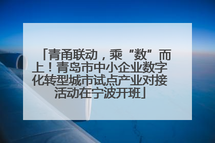 青甬联动，乘“数”而上！青岛市中小企业数字化转型城市试点产业对接活动在宁波开班