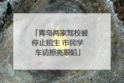 青岛两家驾校被停止招生 市民学车请擦亮眼睛