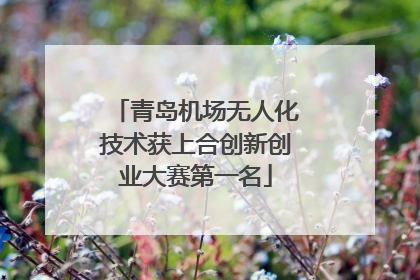青岛机场无人化技术获上合创新创业大赛第一名
