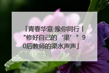 青春华章·豫你同行丨“修好自己的‘渠’”90后教师的渠水声声