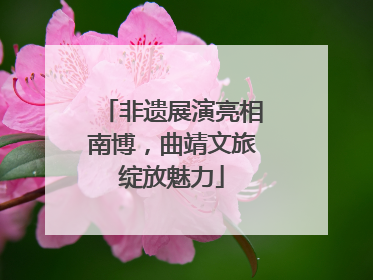 非遗展演亮相南博，曲靖文旅绽放魅力