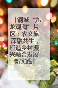 钢城“九龙观澜”片区：农文旅深融共生，打造乡村振兴融合发展新实践