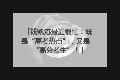 钱凯港最近很忙：既是“高考热点”，又是“高分考生”！