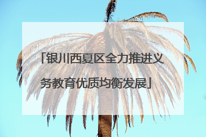 银川西夏区全力推进义务教育优质均衡发展