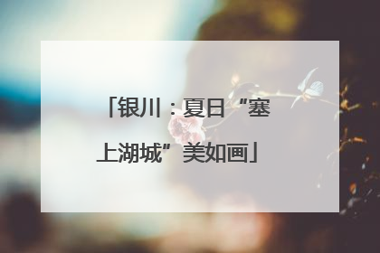 银川：夏日“塞上湖城”美如画