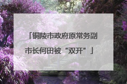 铜陵市政府原常务副市长何田被“双开”