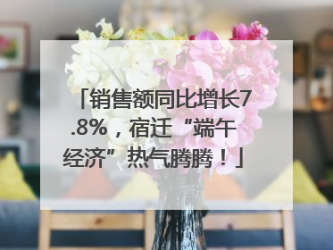 销售额同比增长7.8%，宿迁“端午经济”热气腾腾！