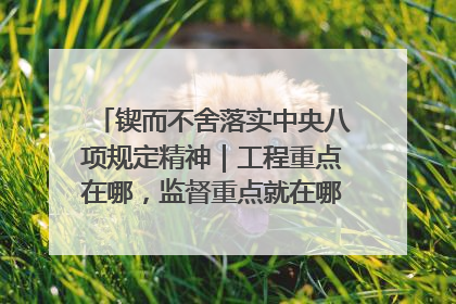 锲而不舍落实中央八项规定精神｜工程重点在哪，监督重点就在哪——广西深化政治监督护航平陆运河建设