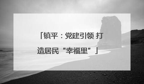 镇平：党建引领 打造居民“幸福里”