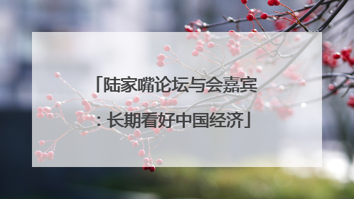陆家嘴论坛与会嘉宾：长期看好中国经济