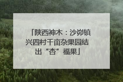 陕西神木：沙峁镇兴四村千亩杂果园结出“杏”福果