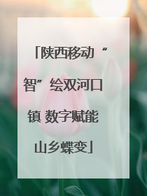 陕西移动“智”绘双河口镇 数字赋能山乡蝶变