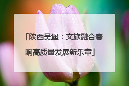 陕西吴堡：文旅融合奏响高质量发展新乐章